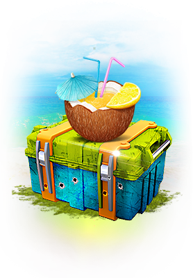 Summer Case 2018
